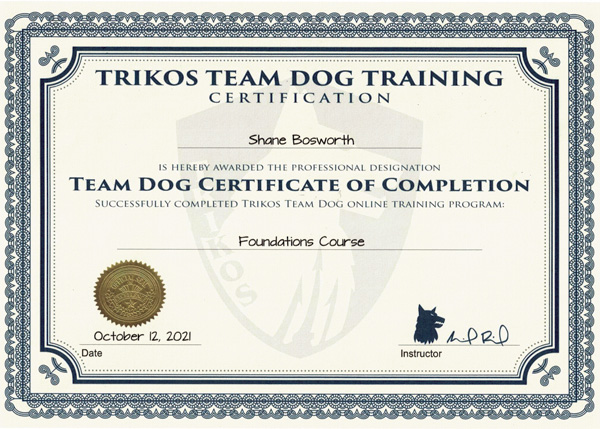 Team Dog Foundations Certificate of Completion