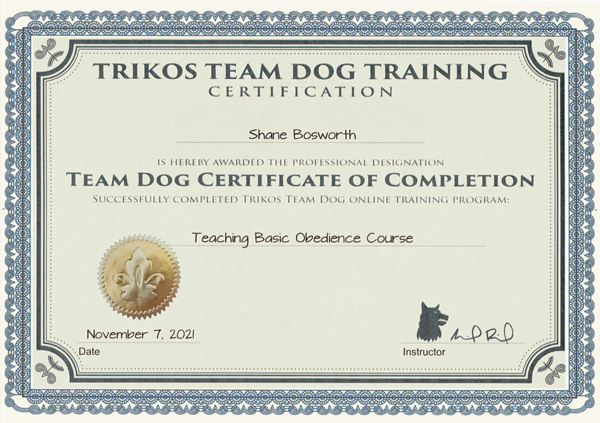 Team Dog Basic Obedience Certificate of Completion